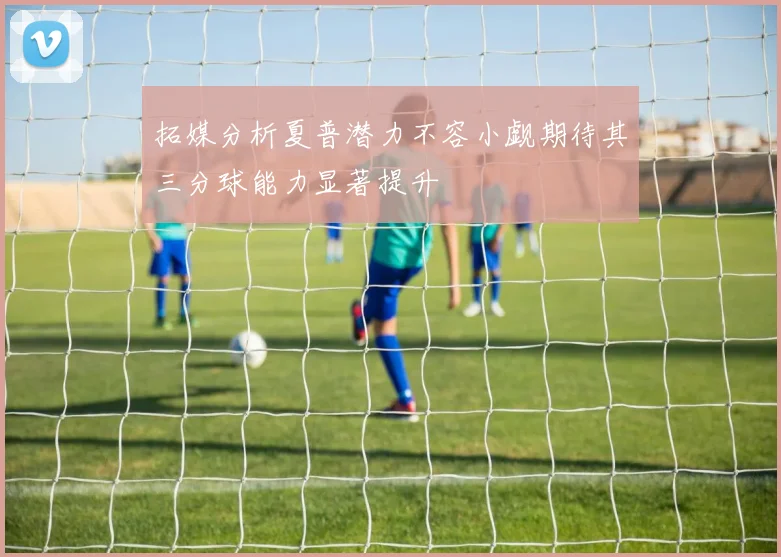 拓媒分析夏普潜力不容小觑期待其三分球能力显著提升